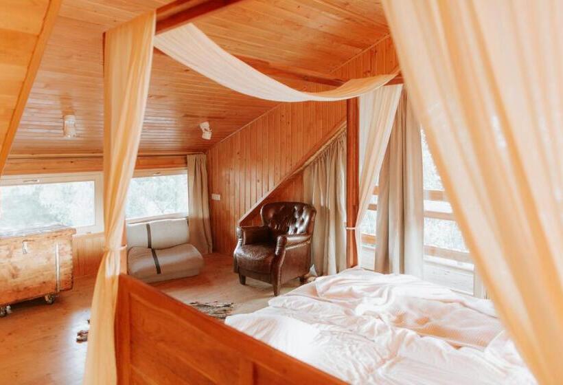 اتاق استاندارد با تخت بزرگ, Living In Delta   Casa De Vacanta