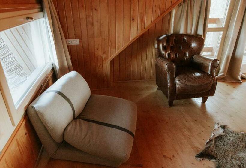 اتاق استاندارد با تخت بزرگ, Living In Delta   Casa De Vacanta