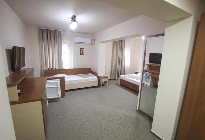带1个卧室的公寓, Teju Hotels