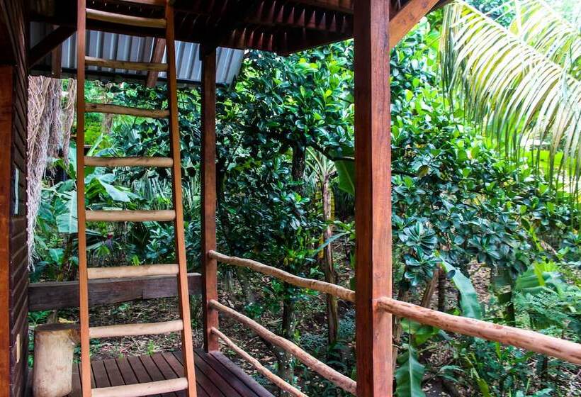 خانه 1 خوابه, Selvista Guesthouses