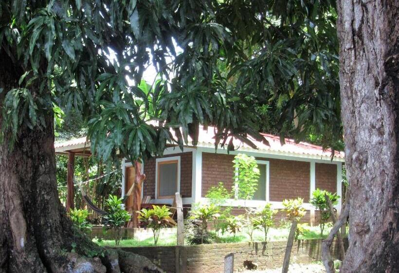 Номер Стандарт, Caballito S Mar