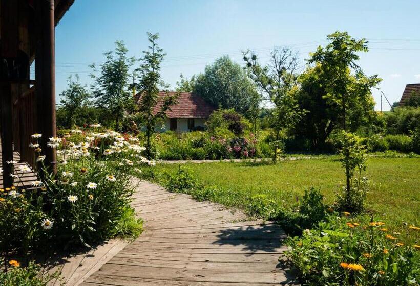 Номер Стандарт, Vesela Sadyba