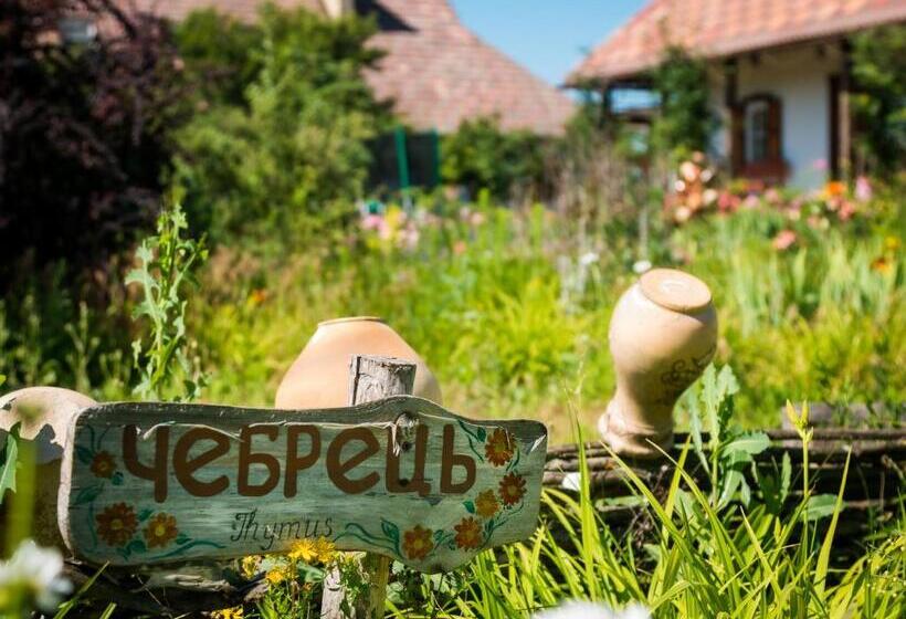 Номер Стандарт, Vesela Sadyba