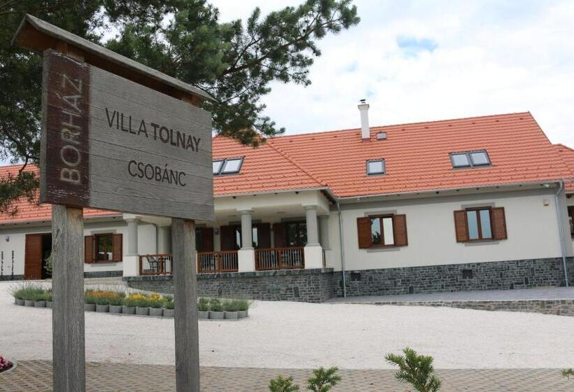 Люкс Повышенной Комфортности, Villa Tolnay Vendégház