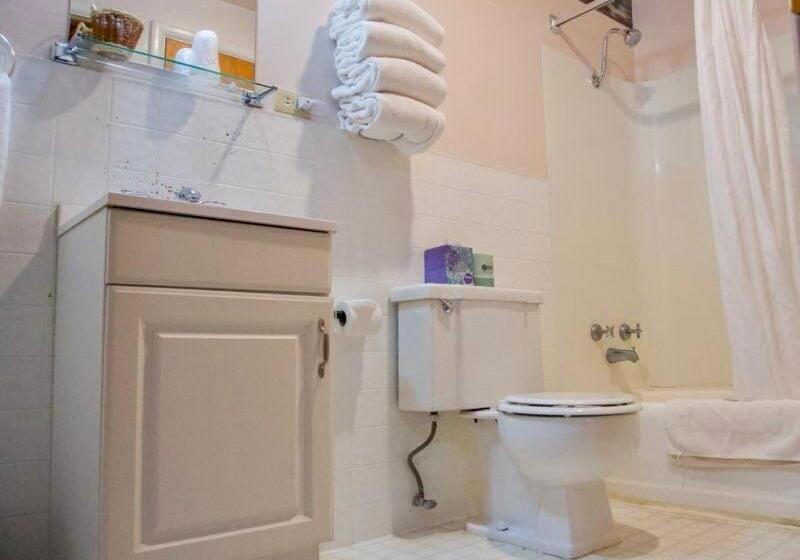 Номер Deluxe, Sportsman Lodge Melrose Mt