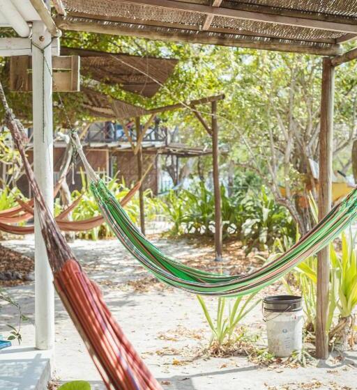اتاق استاندارد, El Hamaquero Hostal Econativo
