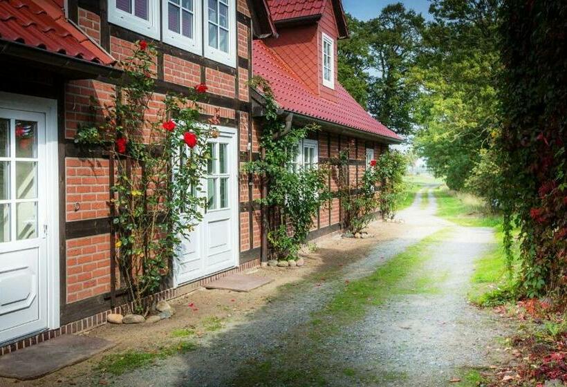 豪华房间, Landhaus Elbeflair Bei Dömitz