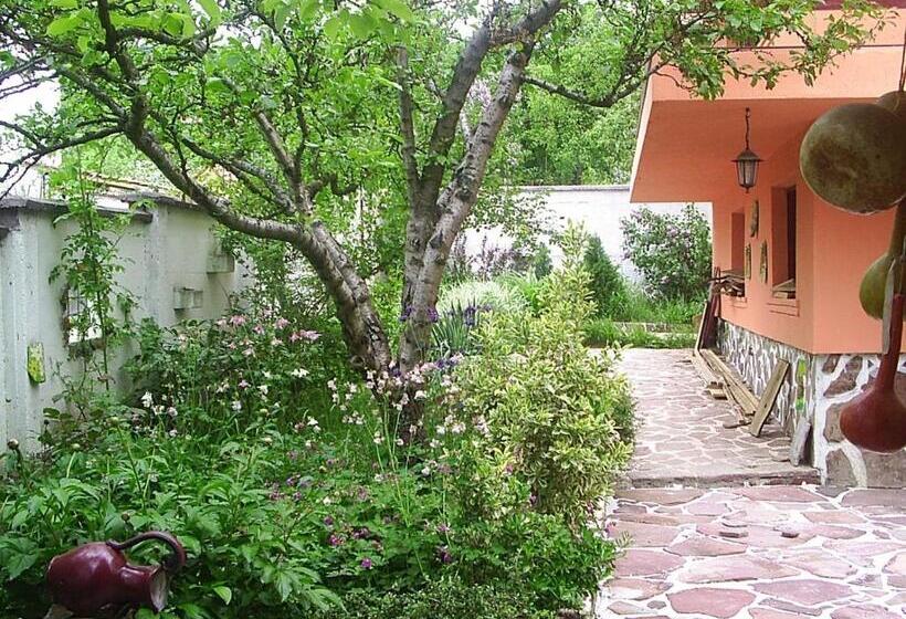 غرفة قياسية مزوَّدة بشُرفة, Hadjibulevata Guest House