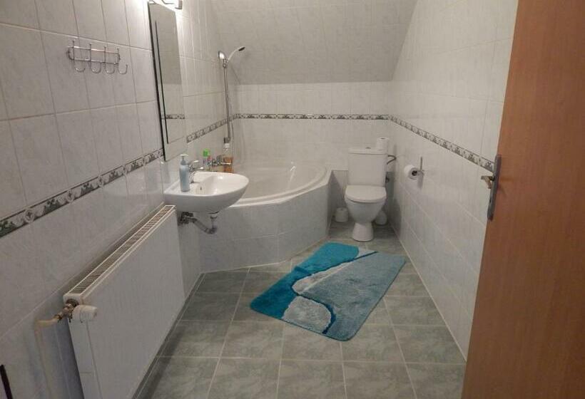 اتاق استاندارد, Penzion U Kašných