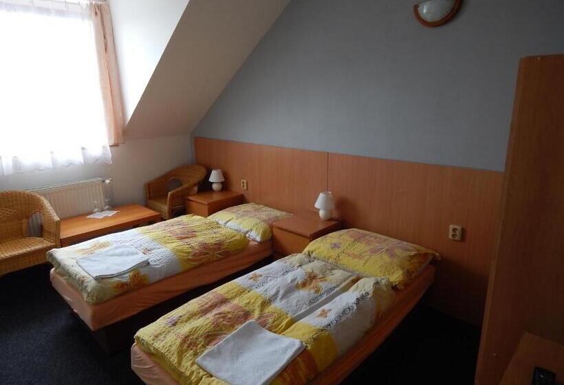 اتاق استاندارد, Penzion U Kašných