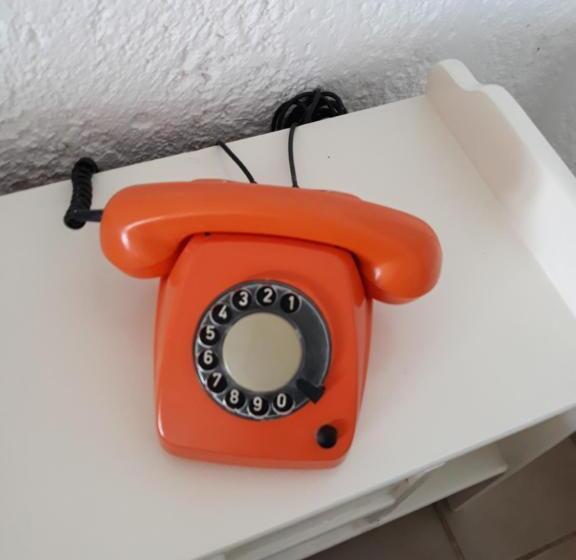 Quarto Estandar, Neon