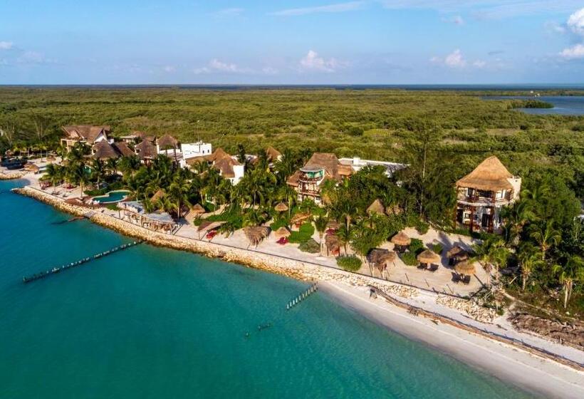 ویلای سوپریور 1 خوابه, Villas Flamingos