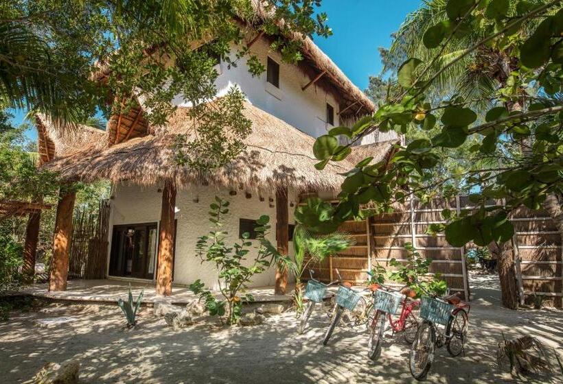 ویلای سوپریور 1 خوابه, Villas Flamingos