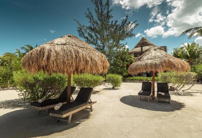 ویلای سوپریور 1 خوابه, Villas Flamingos