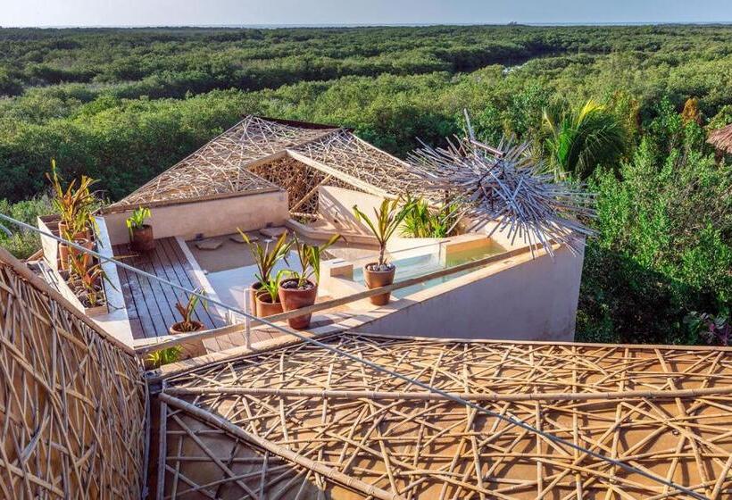 سوییت با استخر, Villas Flamingos