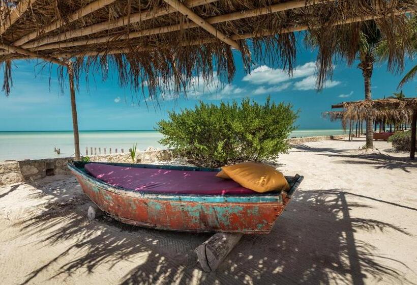 ویلای سوپریور 1 خوابه, Villas Flamingos