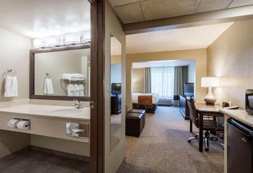 Suite Lit King, Comfort Suites Austin Airport