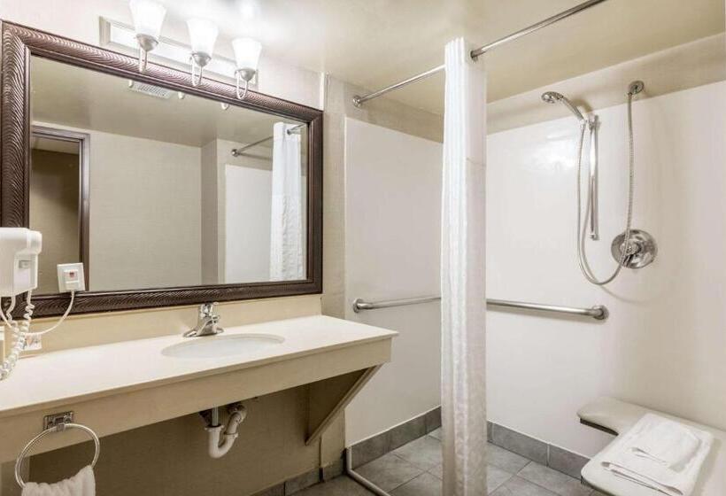 Suite Adaptée aux Personnes à Mobilité Réduite, Comfort Suites Austin Airport