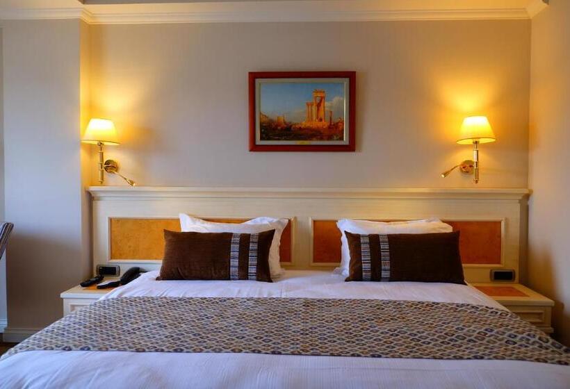 اتاق استاندارد, Ece Saray Marina Resort