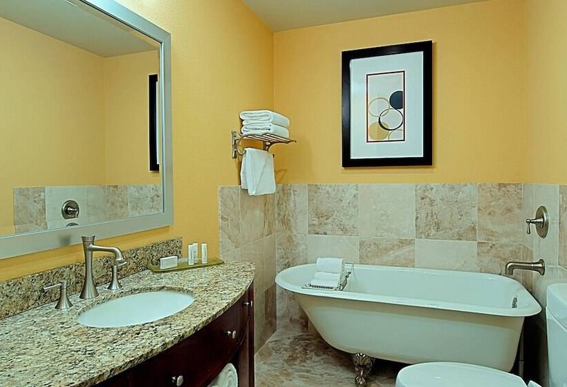 3 Bedroom Suite, Residence Inn By Marriott St. Petersburg Treasure Island