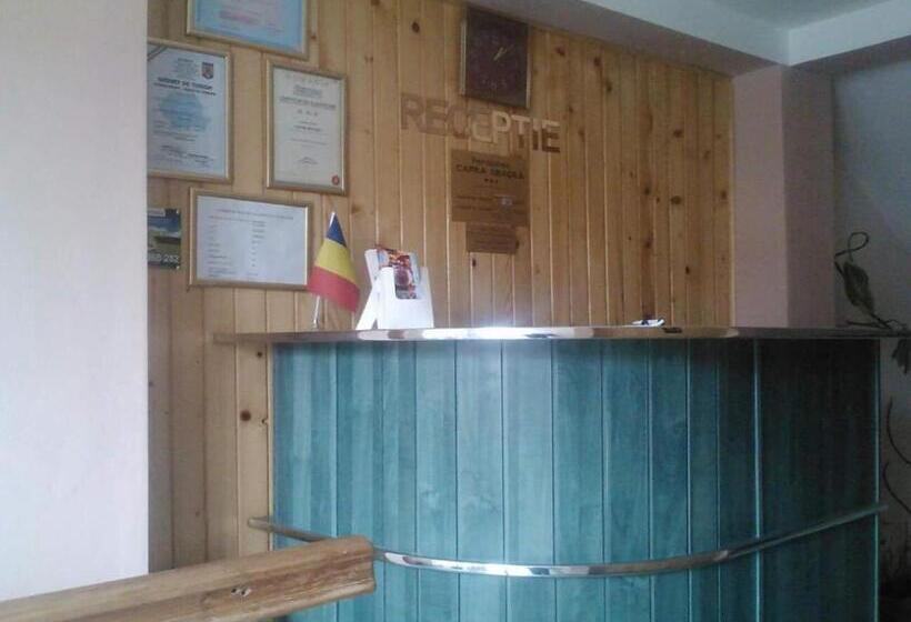 ویلای 1 خوابه, Pensiunea Capra Neagră