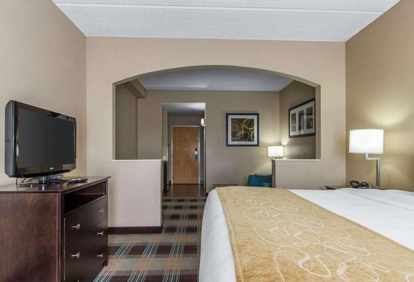 Suite Łóżko King Size, Comfort Suites Airport