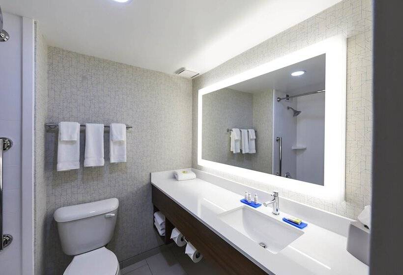 Sviitti Liikuntarajoitteisille, Holiday Inn Express Nashville Downtown   Broadway, An Ihg