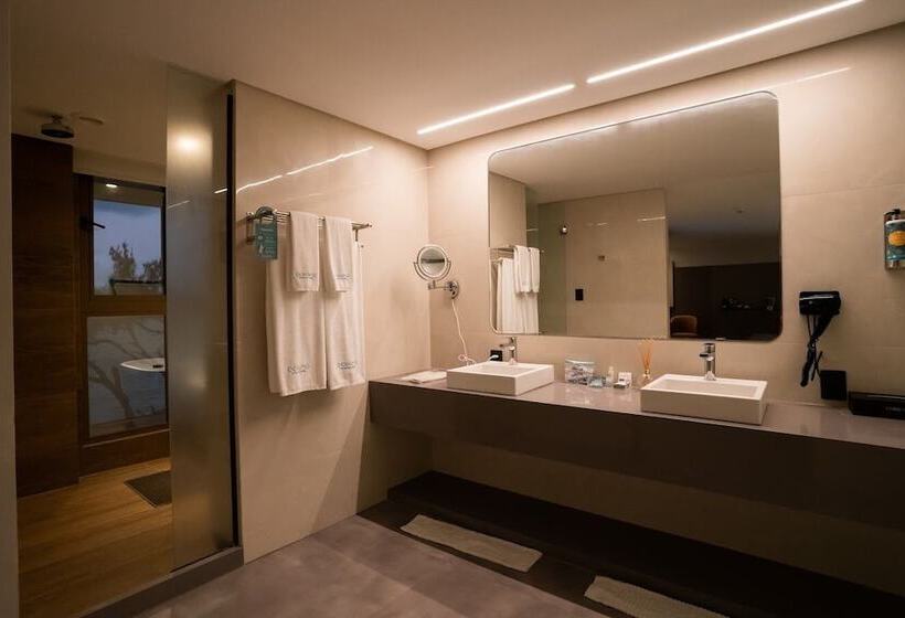 استودیوی پریمیوم, Oceana Atlantico