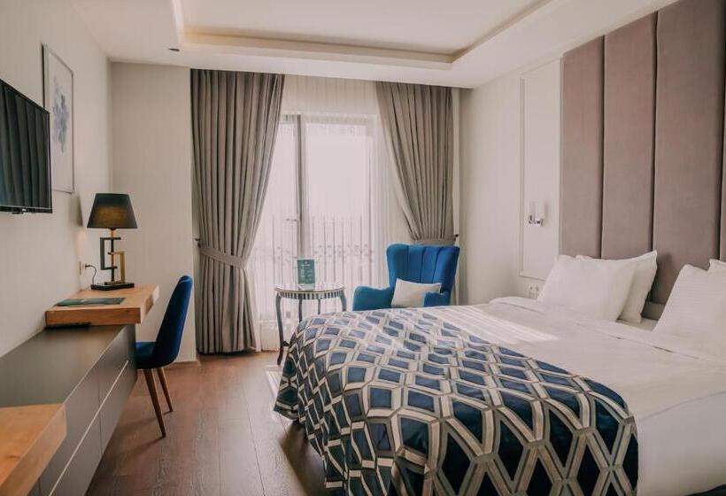 اتاق استاندارد, Sakarya