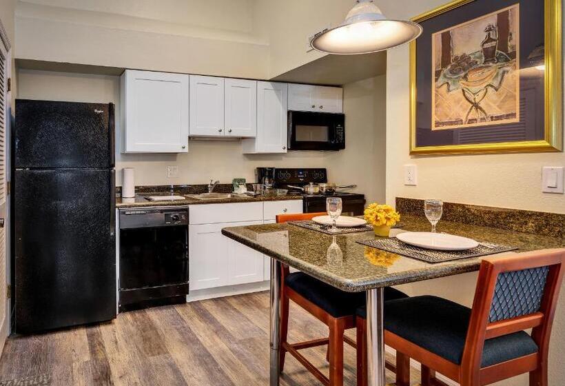 디럭스 스튜디오, Chase Suite Hotel Rocky Point Tampa