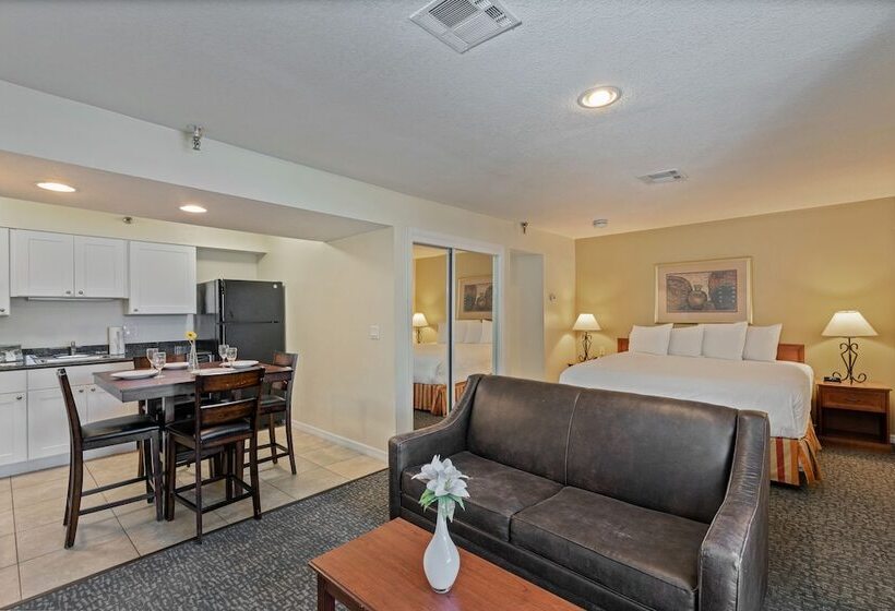 스탠다드 스튜디오, Chase Suite Hotel Rocky Point Tampa