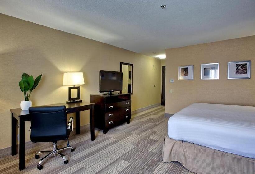 חדר סטנדרט עם מיטת קינג, Holiday Inn Express & Suites Costa Mesa, An Ihg