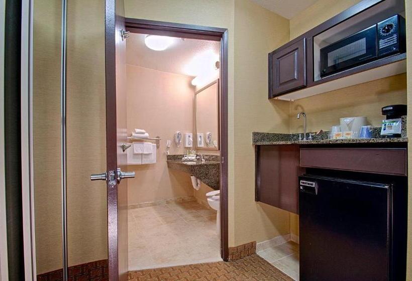 Люкс Кровать Кинг, Holiday Inn Express & Suites Costa Mesa, An Ihg