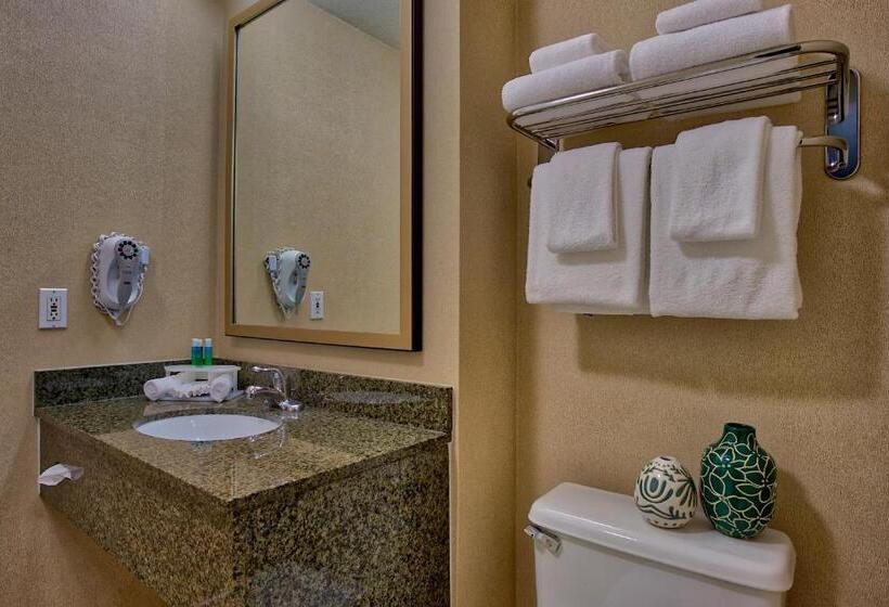 Номер Стандарт Кровать Кинг Адаптированный для Инвалидов, Holiday Inn Express & Suites Costa Mesa, An Ihg