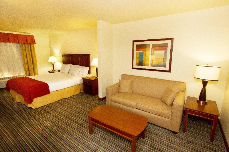 스탠다드 룸 킹사이즈 침대, Holiday Inn Express Turlock, An Ihg