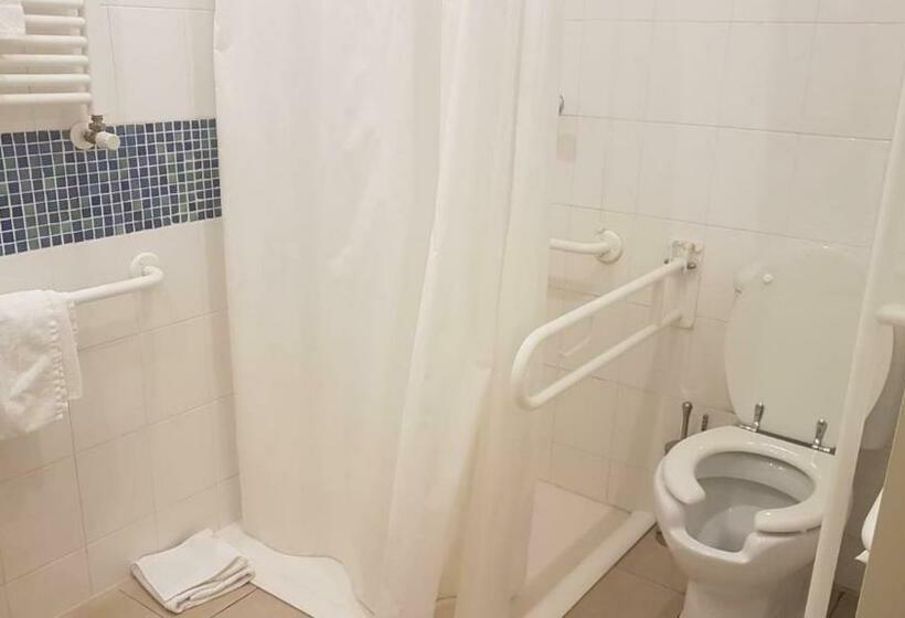 اتاق استاندارد یک تخته برای معلولان, Ih Hotels Milano Gioia