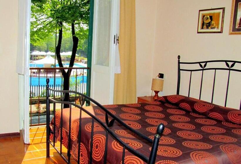 Номер Стандарт, Park Hotel Salice Terme   Oltrepò Pavese
