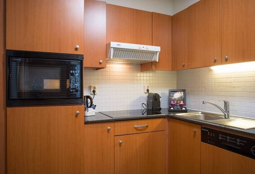 آپارتمان 2 خوابه با بالکن, Marriott Executive Apartments Brussels