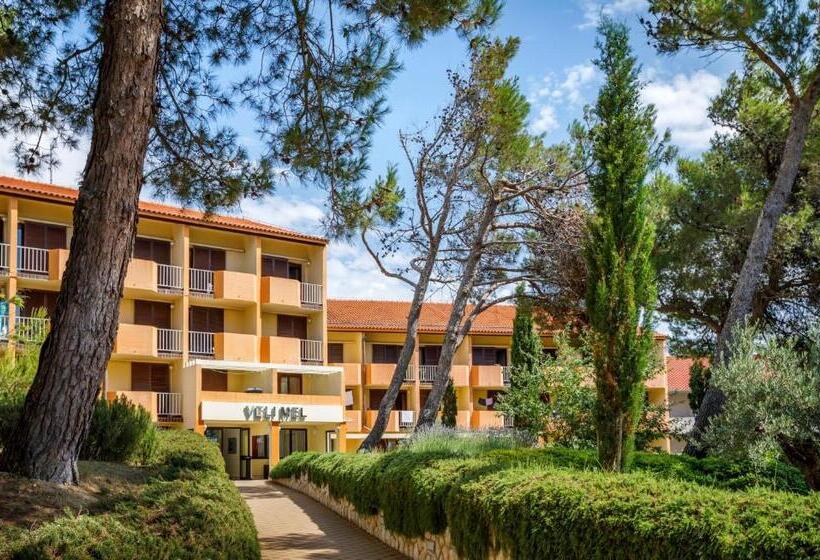 Номер Стандарт, San Marino Resort