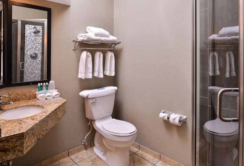 اتاق استاندارد, Holiday Inn Express & Suites Topeka West I 70 Wanamaker, An Ihg