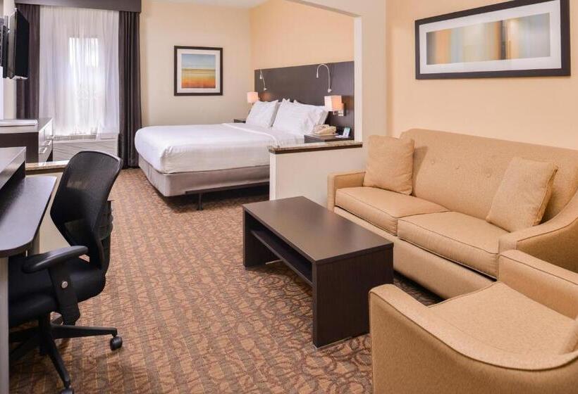 سوئیت با تخت بزرگ, Holiday Inn Express & Suites Topeka West I 70 Wanamaker, An Ihg