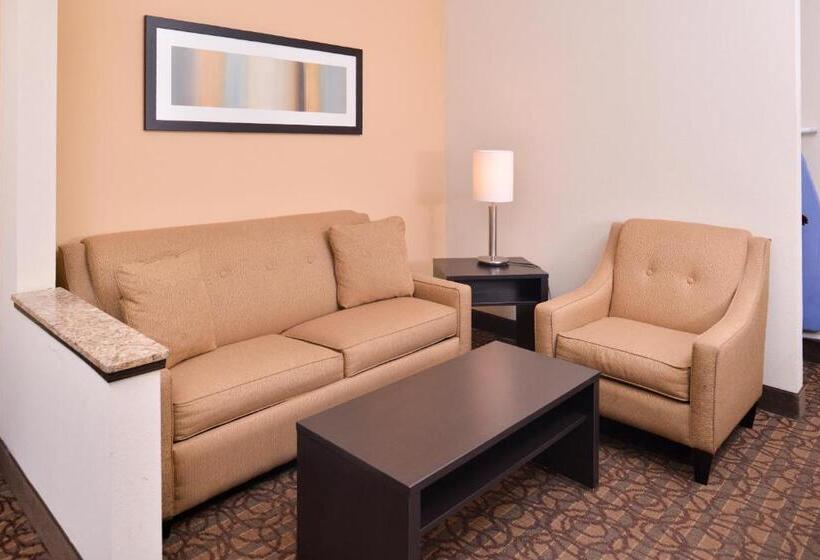 اتاق استاندارد با تخت بزرگ, Holiday Inn Express & Suites Topeka West I 70 Wanamaker, An Ihg