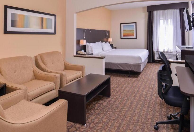 اتاق استاندارد با تخت بزرگ برای معلولان, Holiday Inn Express & Suites Topeka West I 70 Wanamaker, An Ihg