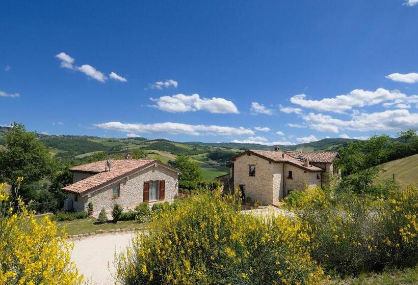 Номер Стандарт, Lodole B&b