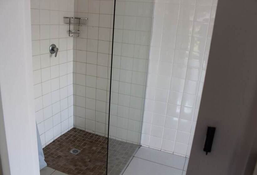 اتاق اجرایی, Purple Olive Guest House
