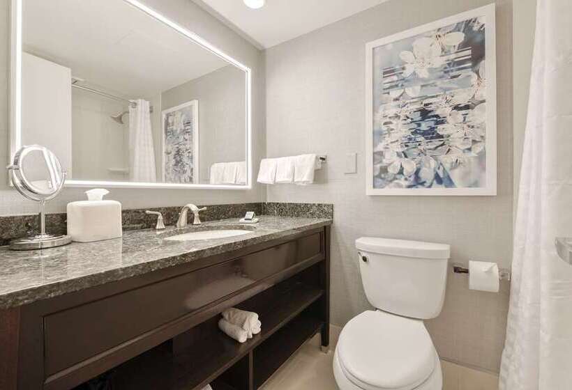 חדר דלוקס מותאם לאנשים עם מוגבלויות, Hilton Manchester Deansgate