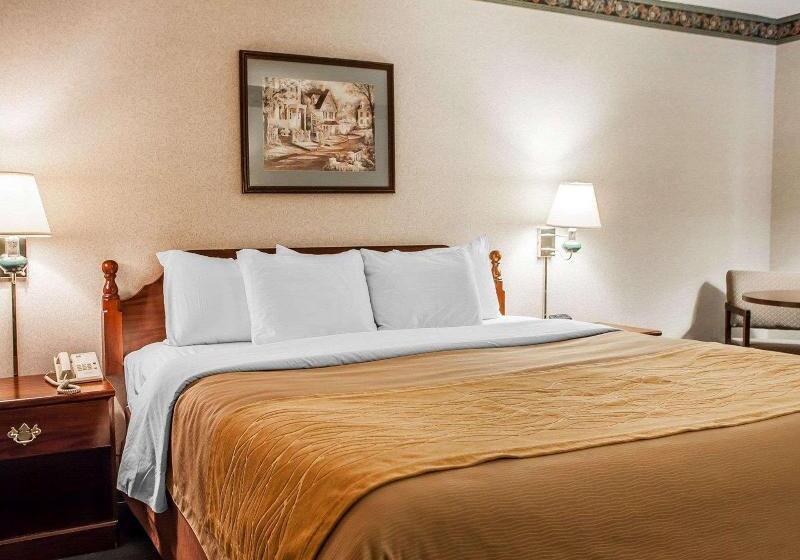 Номер Стандарт Адаптированный для Инвалидов, Voco Paris   Porte De Clichy, An Ihg