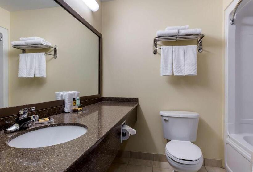 Номер Стандарт, Best Western Plus Woodstock Hotel Conference Centre