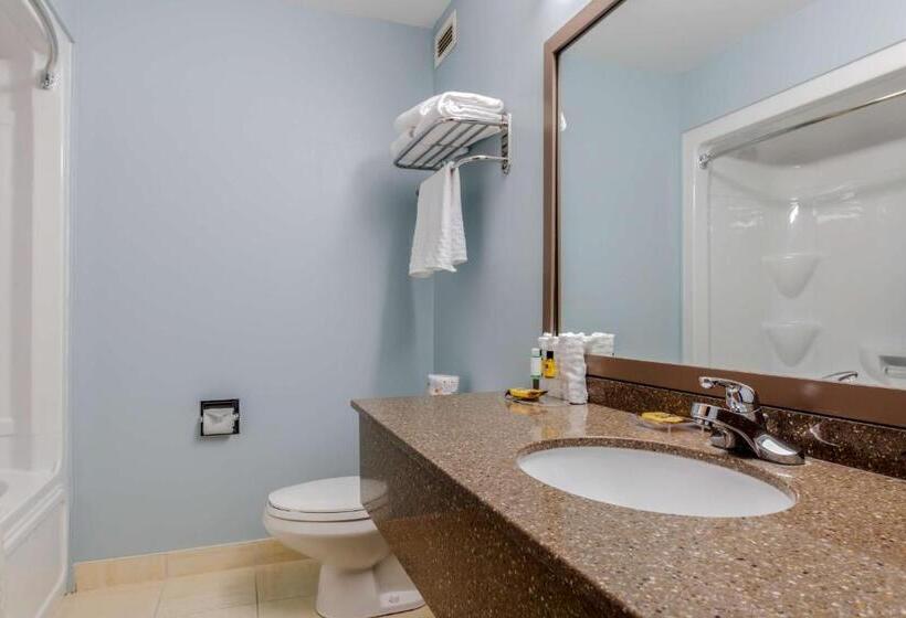 Стандартный Номер Кровать Кинг, Best Western Plus Woodstock Hotel Conference Centre