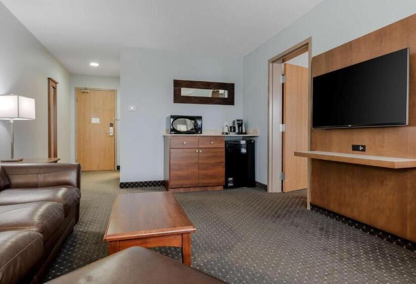 Стандартный Номер Кровать Кинг, Best Western Plus Woodstock Hotel Conference Centre
